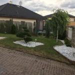 045 - Borovice lesn&iacute; - P&iacute;sek