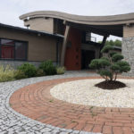 076 - Borovice lesn&iacute; 'Watereri' - Dobř&iacute;&scaron;