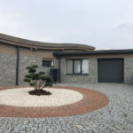 077 - Borovice lesn&iacute; 'Watereri' - Dobř&iacute;&scaron;