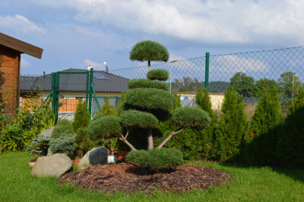 Okrasn&aacute; zahrada - Př&iacute;bram