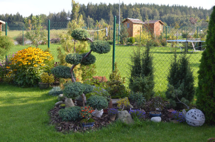 Okrasn&aacute; zahrada - Př&iacute;bram