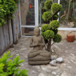 Cypři&scaron;ek Lawsonův 'Ivonne' na terase