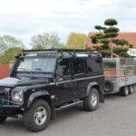 Doprava tvarovan&yacute;ch stromů - 03