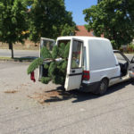 Doprava tvarovan&yacute;ch stromů - 06