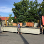 Doprava tvarovan&yacute;ch stromů - 07