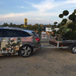 Doprava tvarovan&yacute;ch stromů - 11