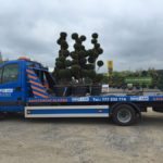 Doprava tvarovan&yacute;ch stromů - 13