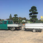 Doprava tvarovan&yacute;ch stromů - 14