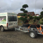 Doprava tvarovan&yacute;ch stromů - 16