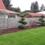 Jedle v okrasn&eacute; zahradě - 3