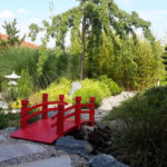 Kryptomerie v japonsk&eacute; zahradě - 1 (foto: Irena Fleissigov&aacute;, Nov&yacute; &Scaron;aldorf)