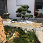 Okrasn&aacute; zahrada &Scaron;estajovice - 01