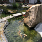 Okrasn&aacute; zahrada &Scaron;estajovice - 02