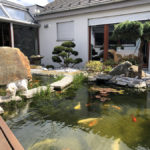 Okrasn&aacute; zahrada &Scaron;estajovice - 05