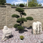 Okrasn&aacute; zahrada &Scaron;estajovice - 07