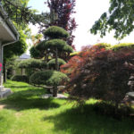 Okrasn&aacute; zahrada &Scaron;estajovice - 09