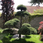 Okrasn&aacute; zahrada &Scaron;estajovice - 10