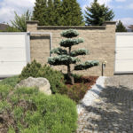 Okrasn&aacute; zahrada &Scaron;estajovice - 13