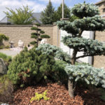 Okrasn&aacute; zahrada &Scaron;estajovice - 14