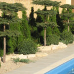 Okrasn&aacute; zahrada 4