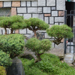 Okrasn&aacute; zahrada Podles&iacute; - 01