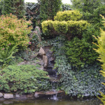 Okrasn&aacute; zahrada Podles&iacute; - 07