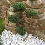 Okrasn&aacute; zahrada Podles&iacute; - 13