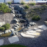 Okrasn&aacute; zahrada Znojmo - 06