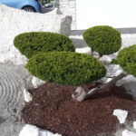 Okrasn&aacute; zahrada Znojmo - 10