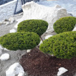 Okrasn&aacute; zahrada Znojmo - 11