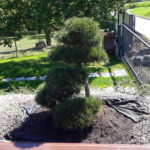 Okrasn&aacute; zahrada Znojmo - 17