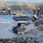 Okrasn&aacute; zahrada Znojmo - 20