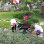 Okrasn&aacute; zahrada Znojmo - 25