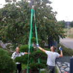 Okrasn&aacute; zahrada Znojmo - 26