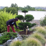 Okrasn&aacute; zahrada Znojmo - 30