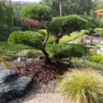 Okrasn&aacute; zahrada Znojmo - 31