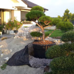 Okrasn&aacute; zahrada Znojmo - 34