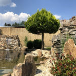 Okrasn&aacute; zahrada ve Star&eacute;m Podles&iacute;