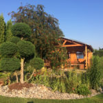 Okrasn&eacute; jehličnany v zahradě - 2