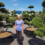 Okrasn&eacute; stromy Impeka - Mil&iacute;n - 06