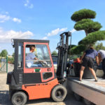 Ot&aacute;zky a odpovědi