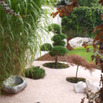 Solit&eacute;rn&iacute; stromy v okrasn&eacute; zahradě - 02