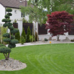 Solit&eacute;rn&iacute; stromy v okrasn&eacute; zahradě - 03