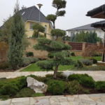 Solit&eacute;rn&iacute; stromy v okrasn&eacute; zahradě - 06