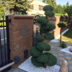 Solit&eacute;rn&iacute; stromy v okrasn&eacute; zahradě - 12