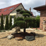 Solit&eacute;rn&iacute; stromy v okrasn&eacute; zahradě - 01