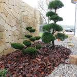 Tis prostředn&iacute; 'Sebian'