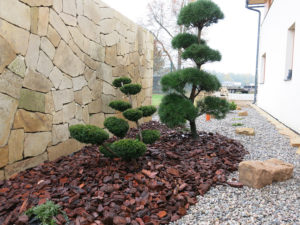 Tis prostředn&iacute; 'Sebian'