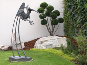 Tis prostředn&iacute; - Taxus media &lsquo;Brownii&rsquo; - 1