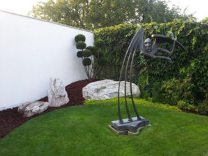 Tis prostředn&iacute; - Taxus media &lsquo;Brownii&rsquo; - 2